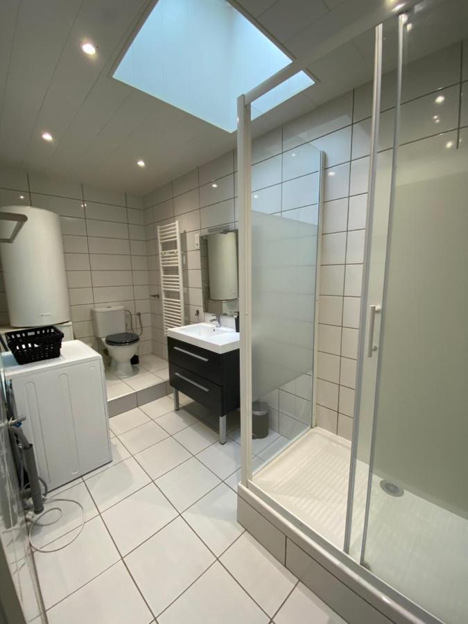 Les Cosy De Nancy - Mister Charles Sous Les Toits, Place Du Marche 4* Eksteriør billede